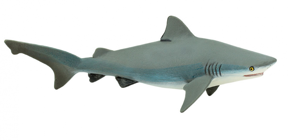 Safari Requin Taureau Junior 15 Cm Caoutchouc Blanc Gris Internet Toys